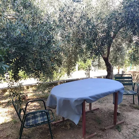Cozy Ray Apartman Split